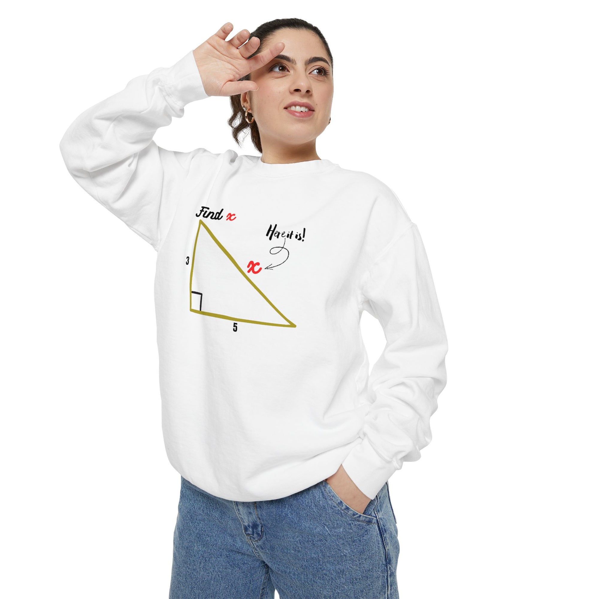 Funny "Find X" Triangle Math Graphic Sweatshirt