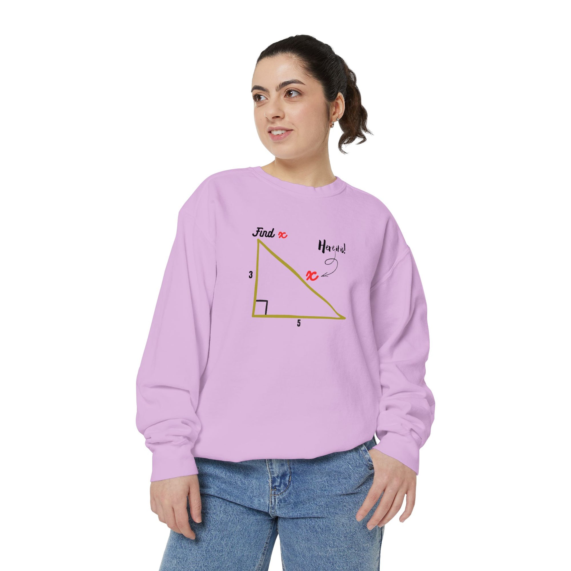 Funny "Find X" Triangle Math Graphic Sweatshirt