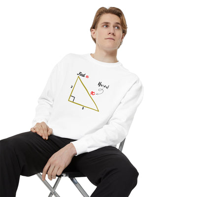 Funny "Find X" Triangle Math Graphic Sweatshirt