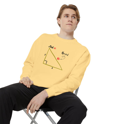Funny "Find X" Triangle Math Graphic Sweatshirt