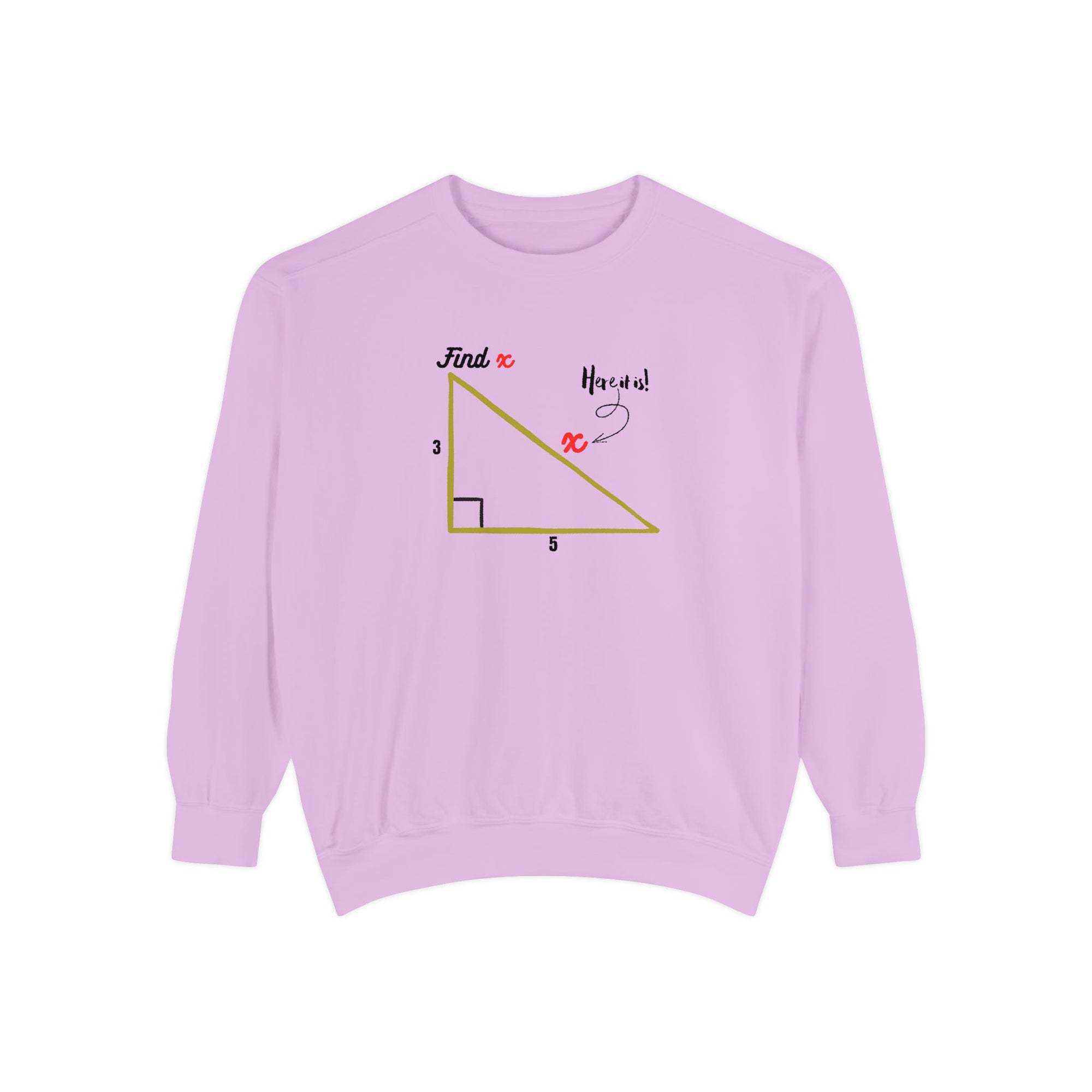 Funny "Find X" Triangle Math Graphic Sweatshirt