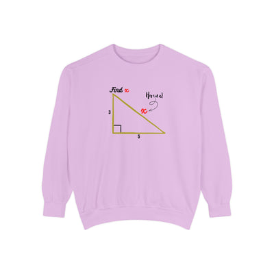 Funny "Find X" Triangle Math Graphic Sweatshirt