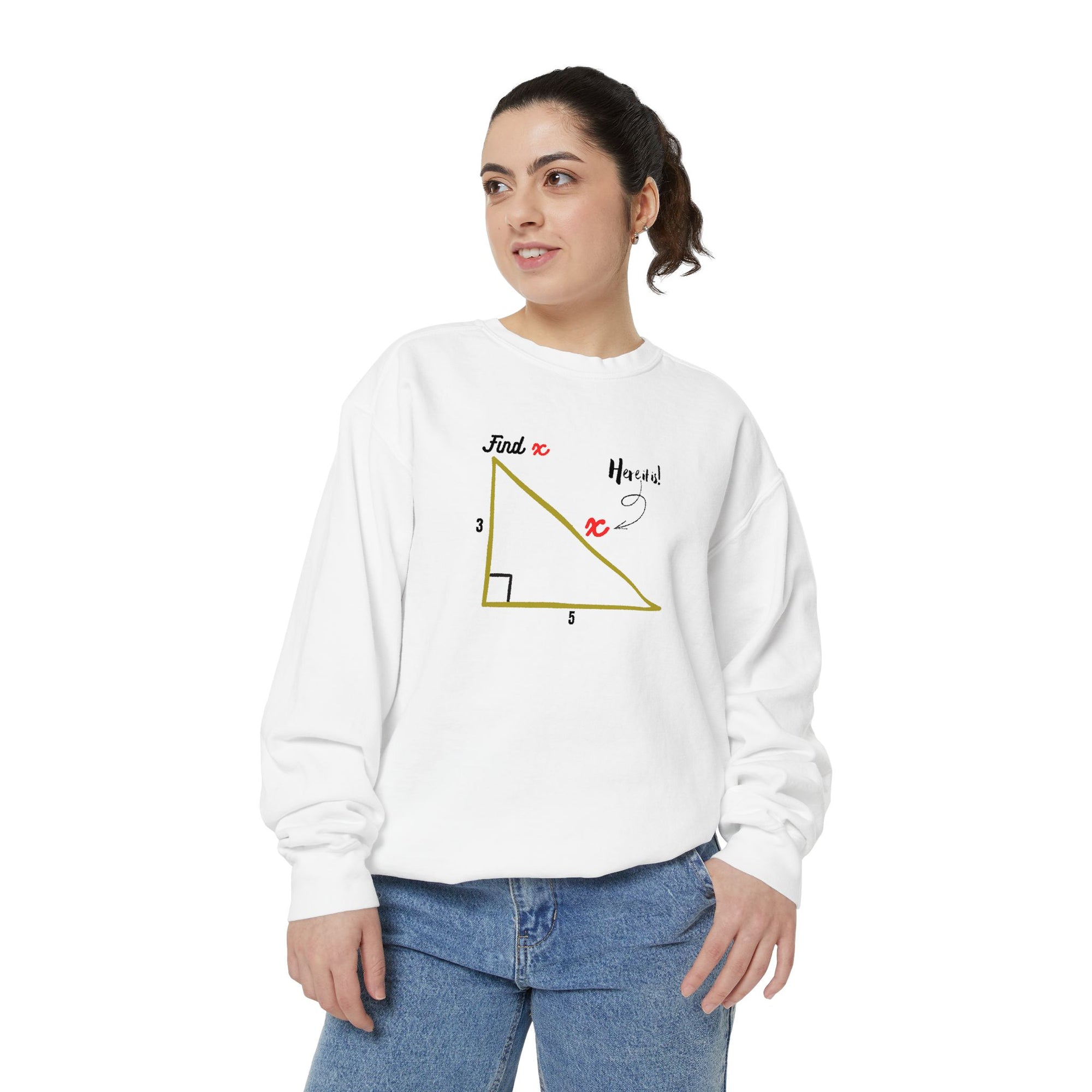 Funny "Find X" Triangle Math Graphic Sweatshirt