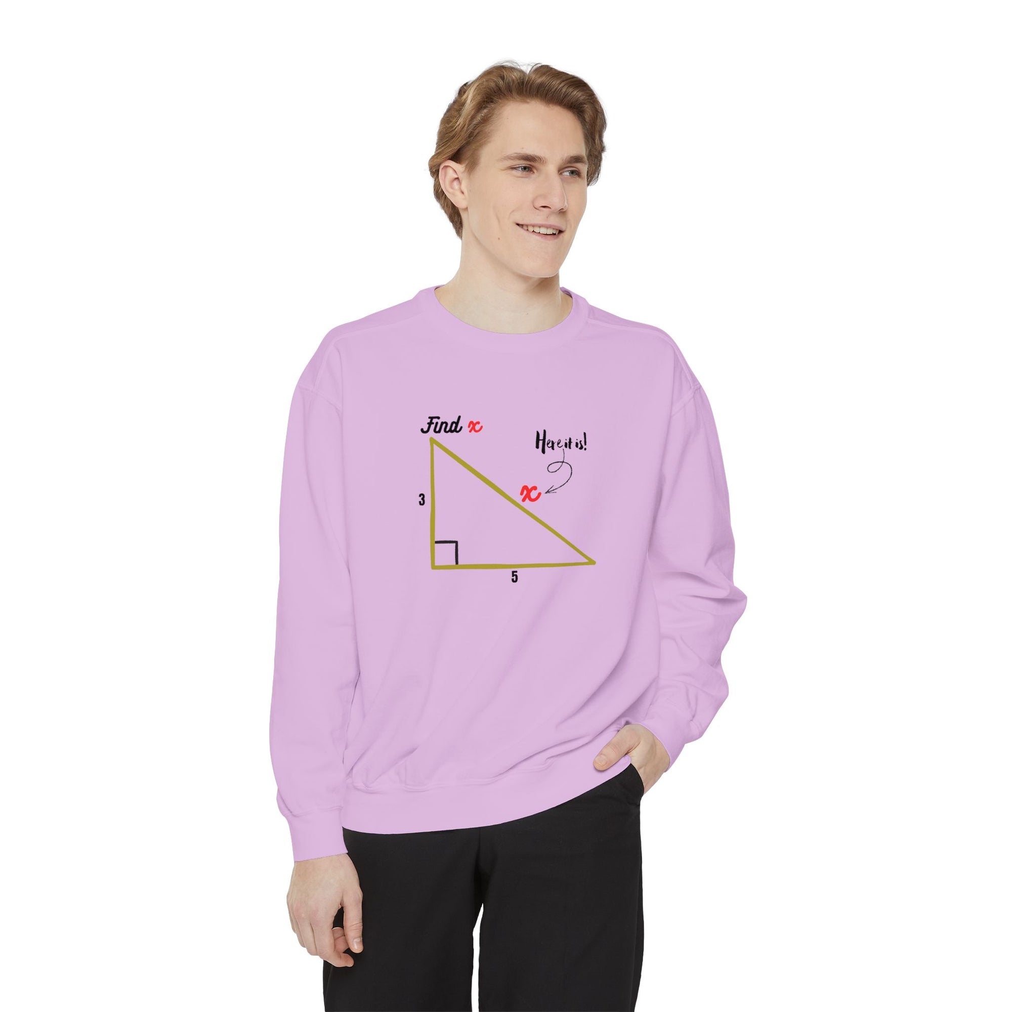 Funny "Find X" Triangle Math Graphic Sweatshirt