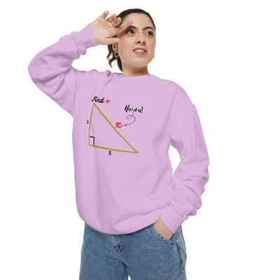 Funny "Find X" Triangle Math Graphic Sweatshirt