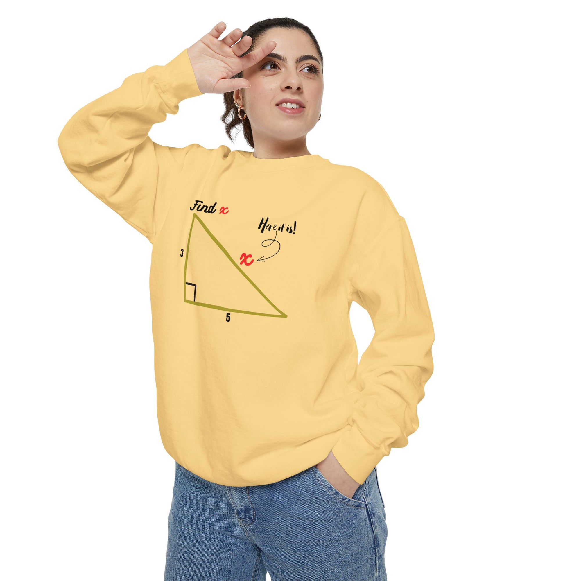 Funny "Find X" Triangle Math Graphic Sweatshirt