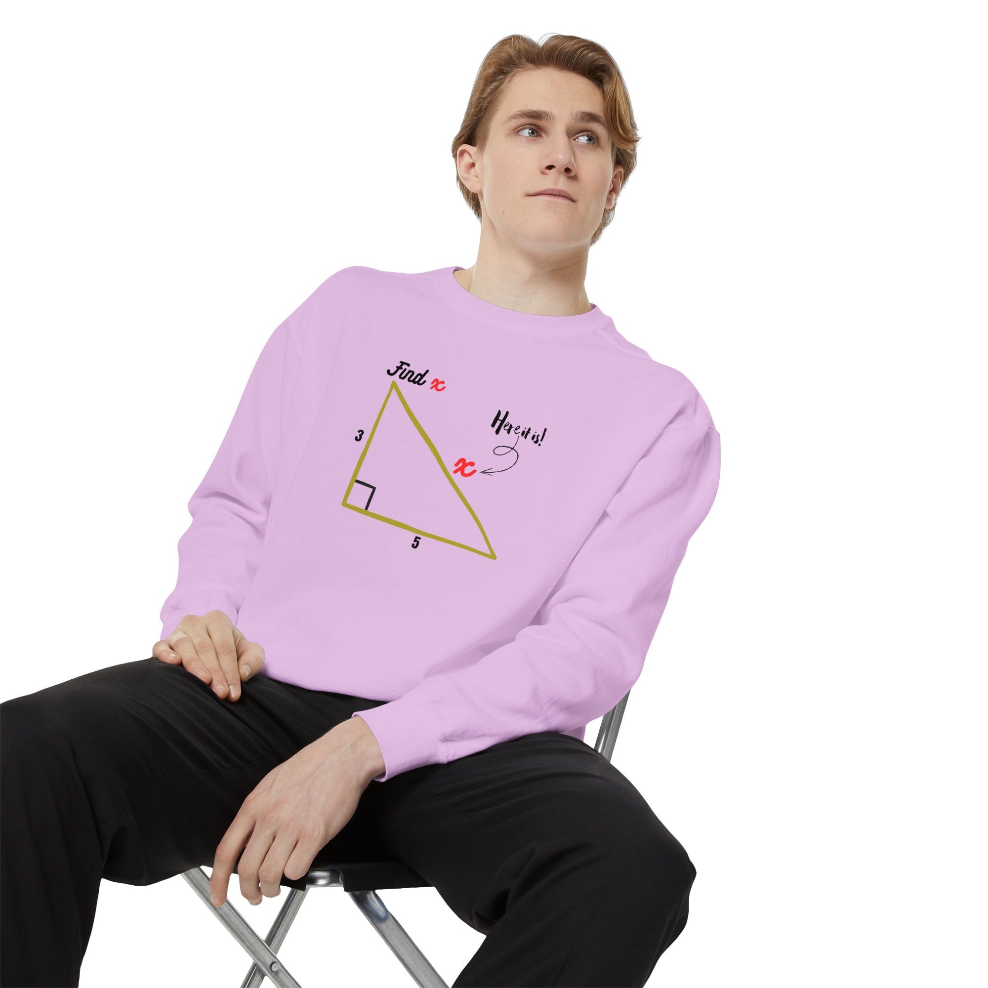Funny "Find X" Triangle Math Graphic Sweatshirt