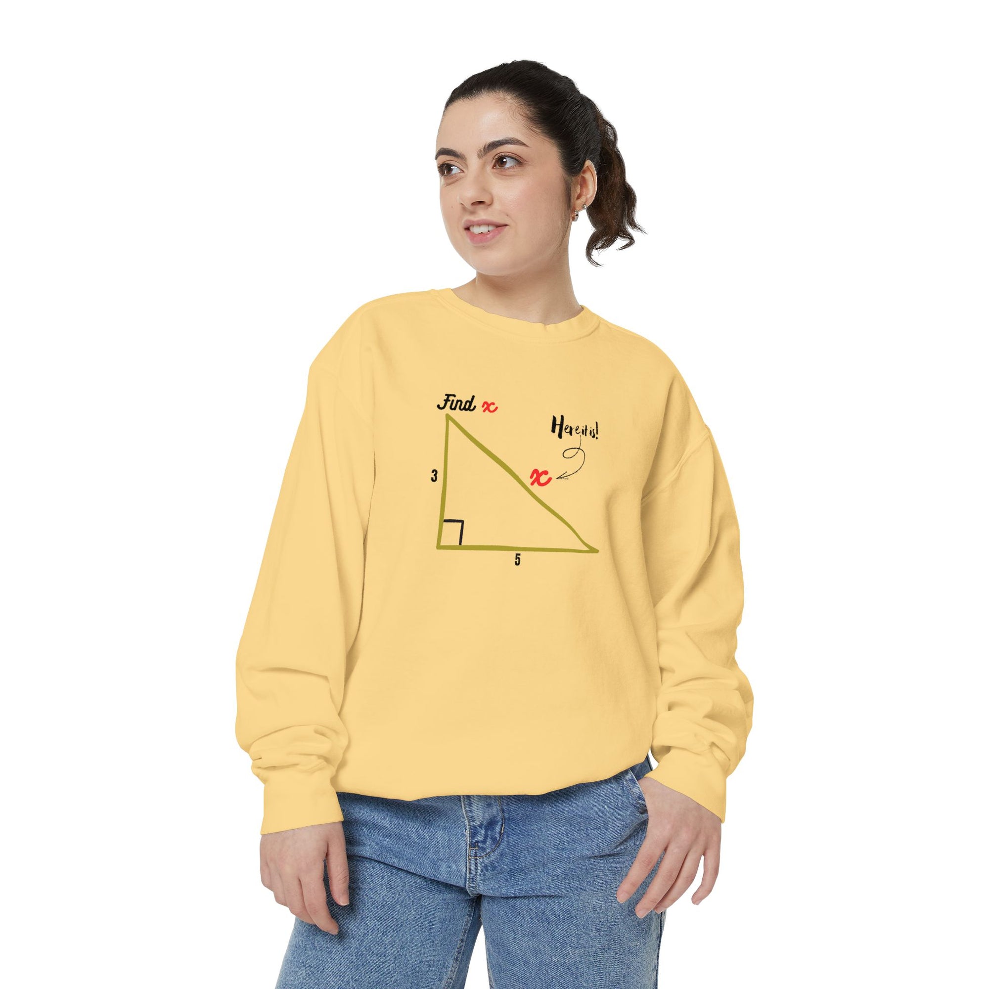 Funny "Find X" Triangle Math Graphic Sweatshirt