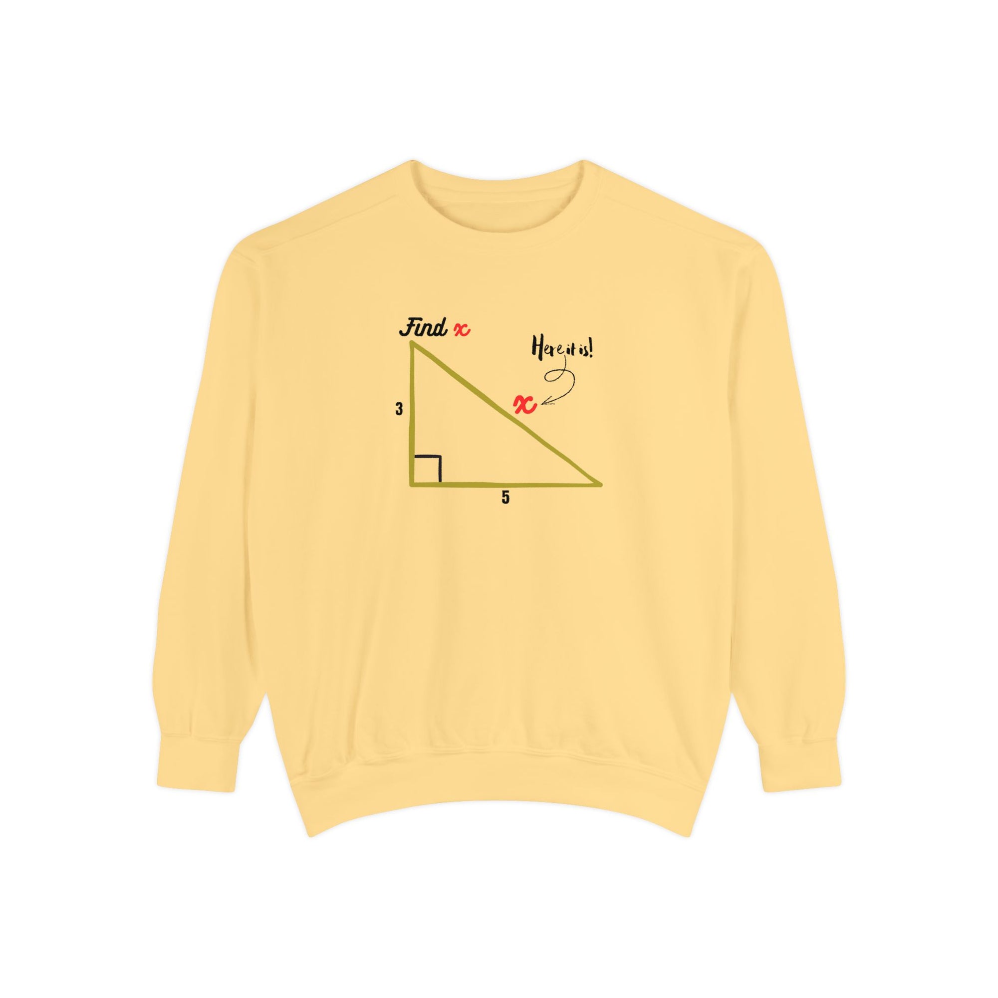 Funny "Find X" Triangle Math Graphic Sweatshirt