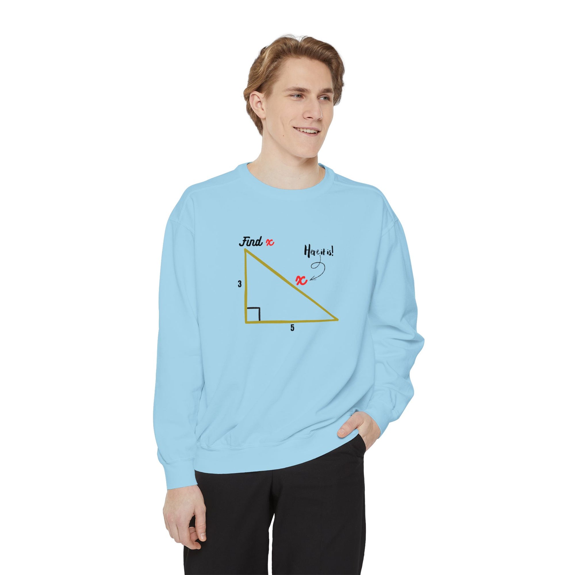 Funny "Find X" Triangle Math Graphic Sweatshirt