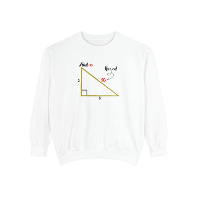 Funny "Find X" Triangle Math Graphic Sweatshirt