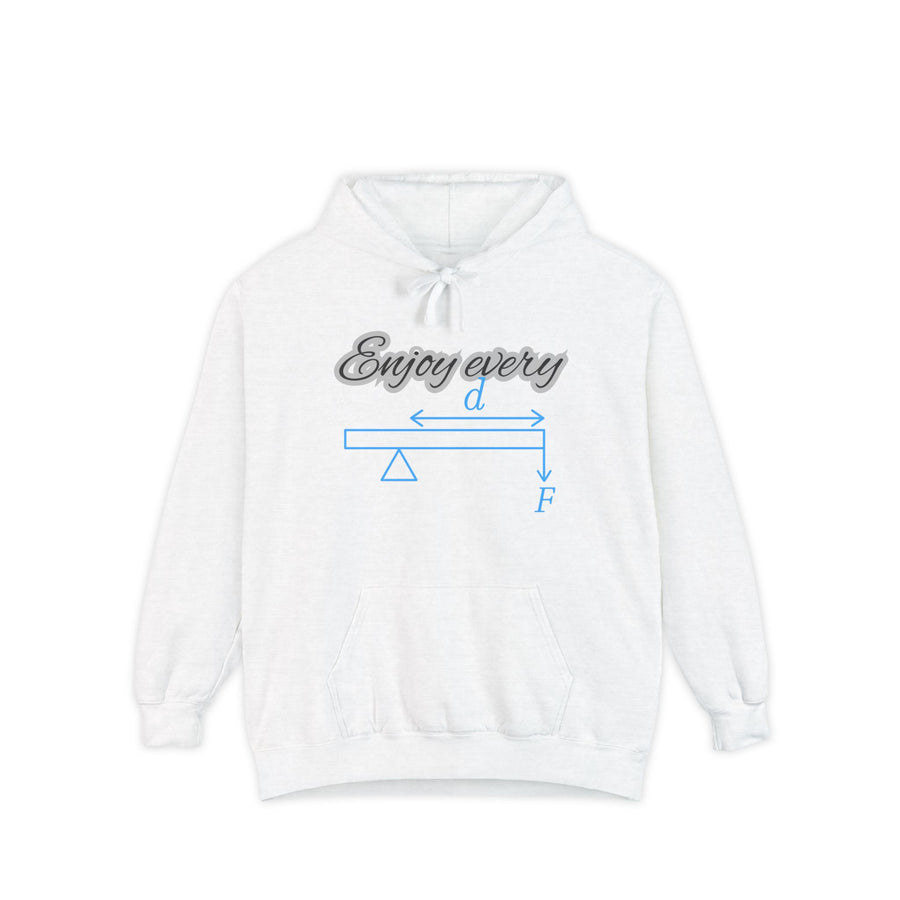 "Enjoy Every Moment" Lever & Fulcrum Physics Graphic Hoodie