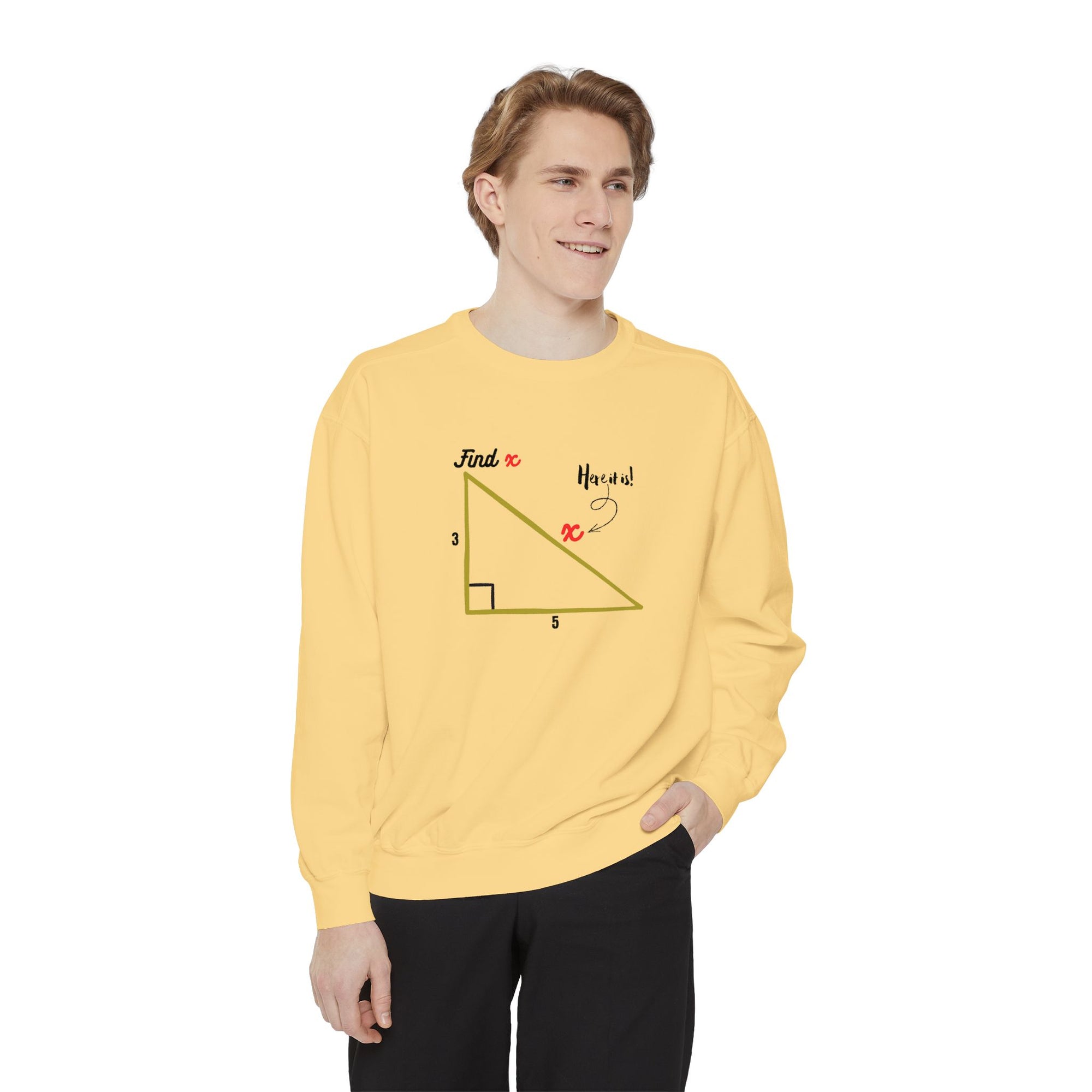 Funny "Find X" Triangle Math Graphic Sweatshirt