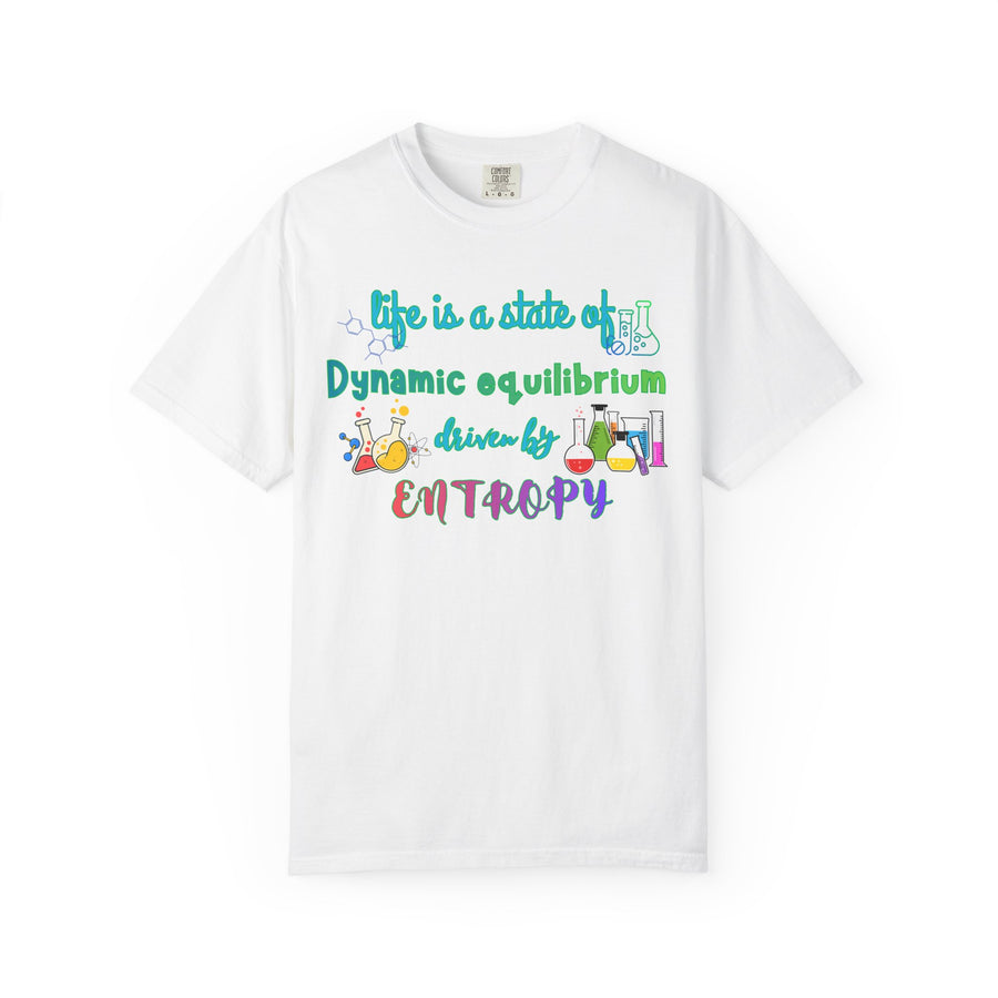 Life Is a State of Dynamic Equilibrium T-Shirt — Science Chemistry Entropy Tee