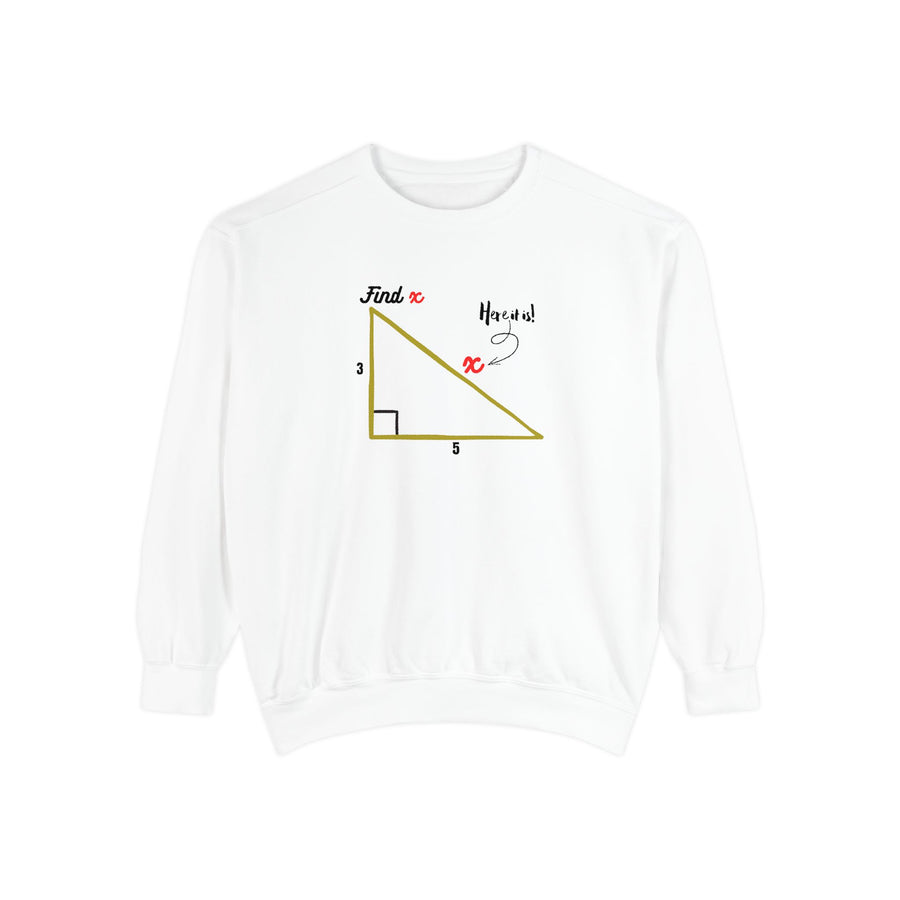 Funny "Find X" Triangle Math Graphic Sweatshirt