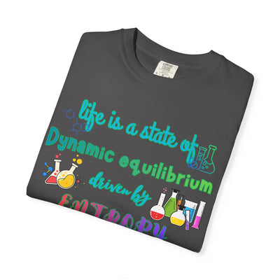 Life Is a State of Dynamic Equilibrium T-Shirt — Science Chemistry Entropy Tee